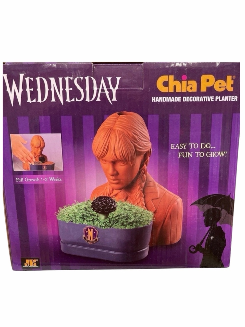 Wednesday Aadams Family Chia Pet Thing Plant Clay Pot Grow Kit Seeds Fun planter
